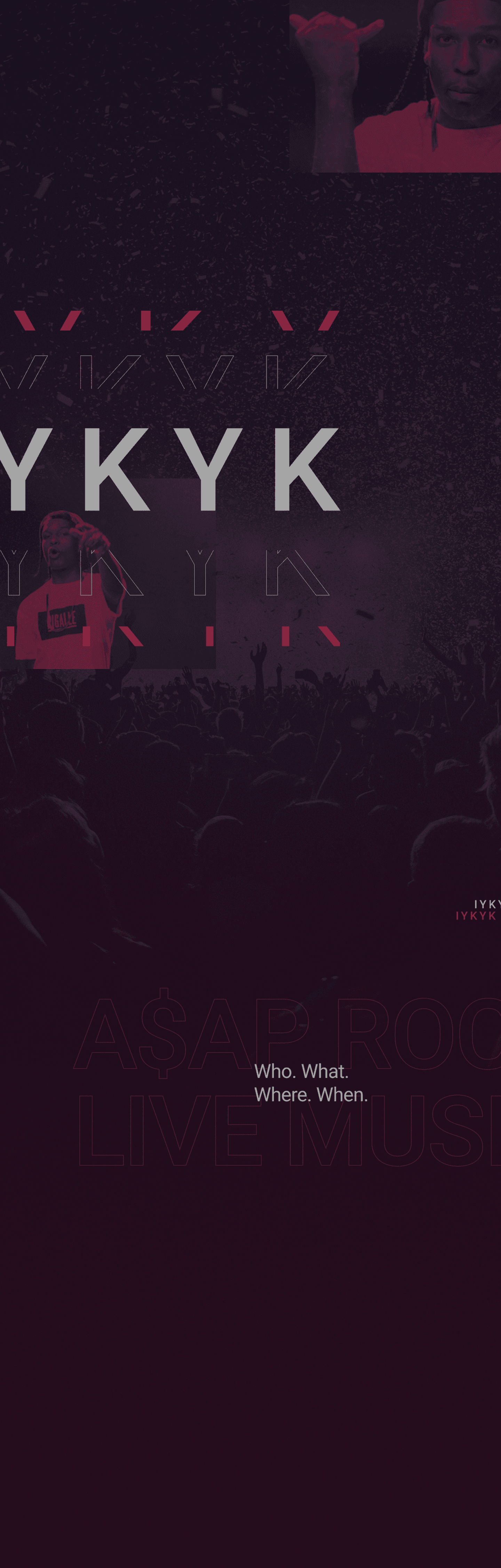 Dark purple concert poster with a bottom crowd silhouette, pink highlights, and performer cutouts; faint text reads Who. What. Where. When.