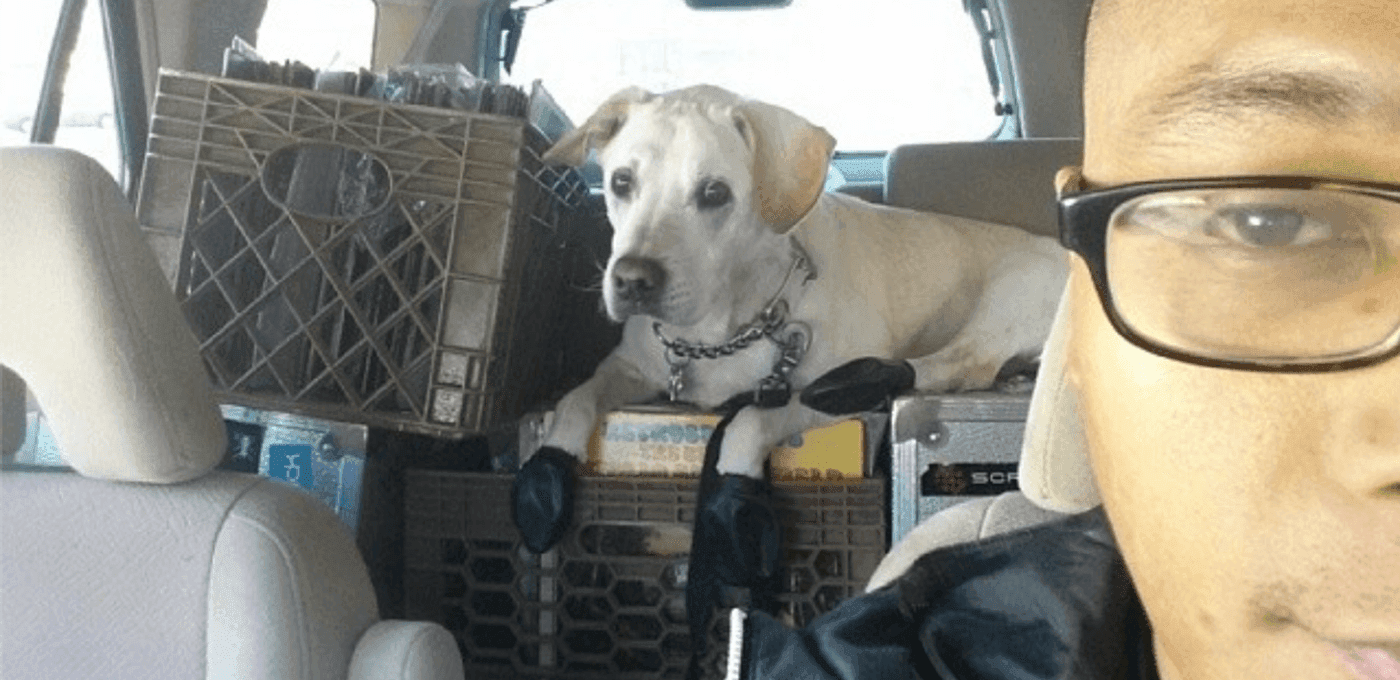 Light-colored dog with a chain collar rests on stacked crates in the back of a van, while a person wearing glasses is partly visible in the foreground.