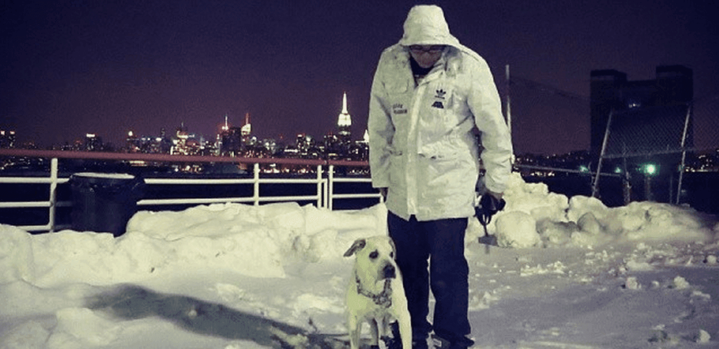Person in a white hooded jacket stands beside a light-colored dog on a leash in a snowy area by a railing, city skyline lit at night.